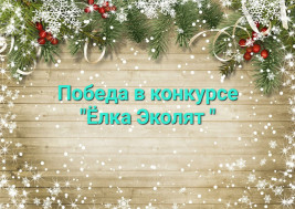 Итоги муниципального этапа областного конкурса «Ёлка Эколят – Молодых защитников Природы».